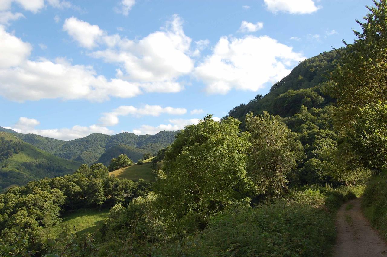El Mirador De Fuentes Del Narcea Hotel Monco Bagian luar foto