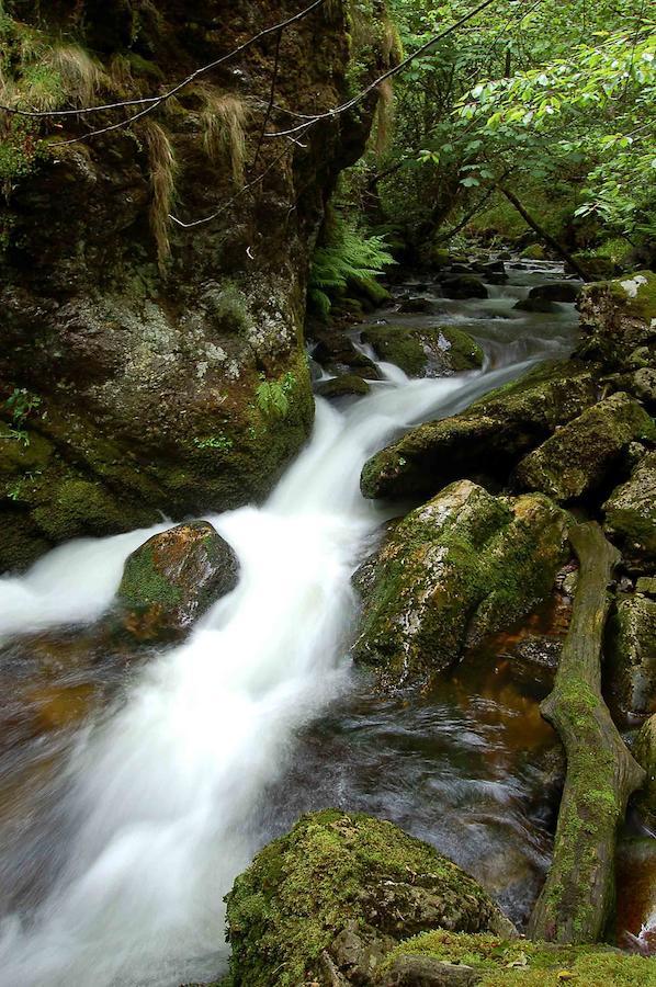 El Mirador De Fuentes Del Narcea Hotel Monco Bagian luar foto