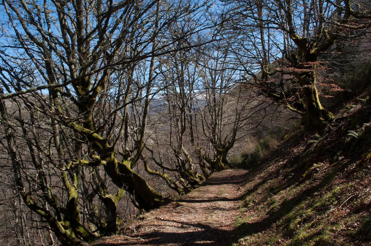 El Mirador De Fuentes Del Narcea Hotel Monco Bagian luar foto